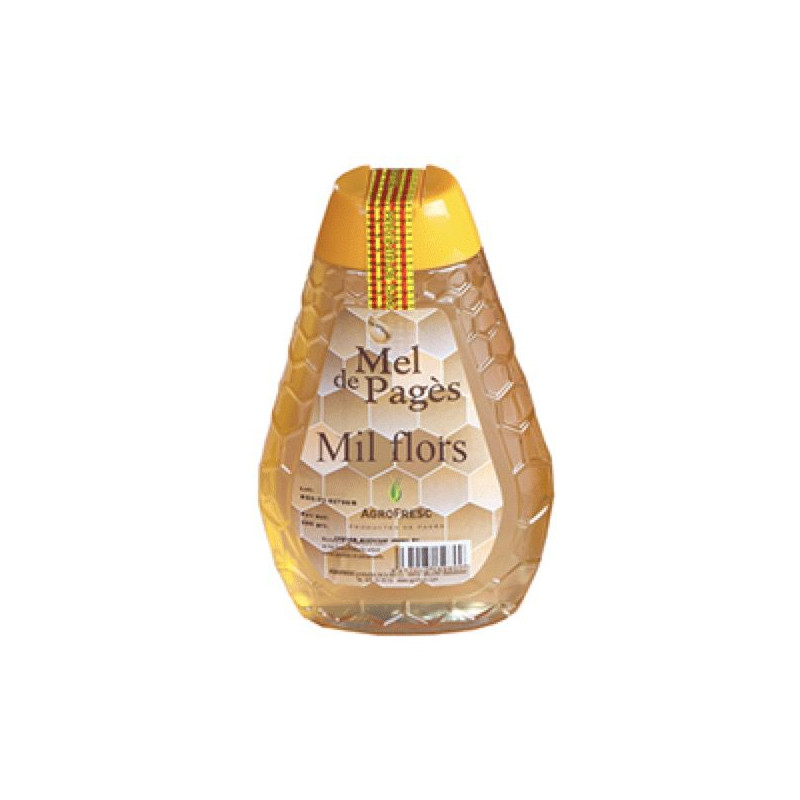 MIEL DE MIL FLORES PET DOSIFICADOR 6/500gr.